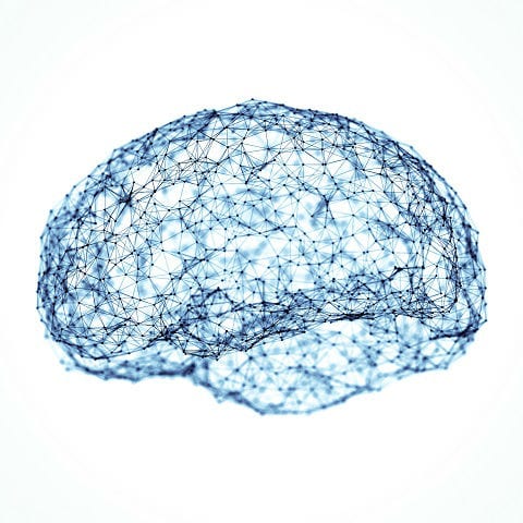 Image showing a illustration of a brain.